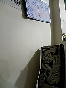 Snapshot of dholcee chatting on March 2025 11:29:02 AM dholcee online show from March 2025 11:29:02 AM