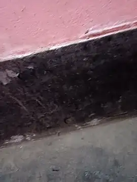 Snapshot of ScopalOr chatting on February 2025 07:40:01 AM ScopalOr online show from February 2025 07:40:01 AM