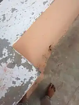 PracticalGum40 online show from February 2026 03:07:02 AM