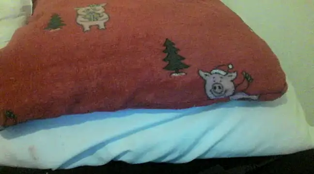 Snapshot of bunnyamy chatting on December 2024 06:00:02 PM bunnyamy online show from December 2024 06:00:02 PM