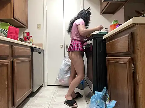 Tinytink online show from February 2025 06:49:02 PM