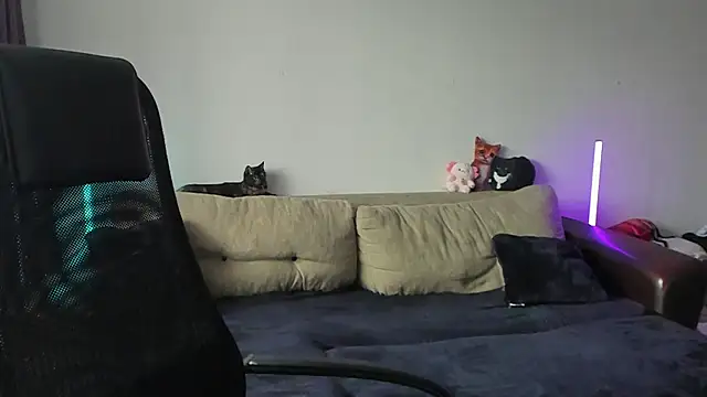 Ostin meow online show from July 2026 01:06:01 PM