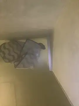 Tommy y Pamela online show from February 2026 03:25:02 AM