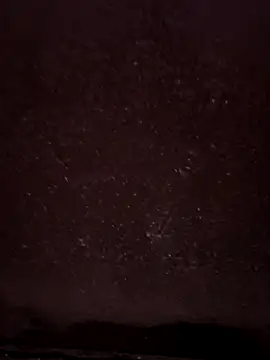 faaseel online show from February 2025 04:20:01 PM