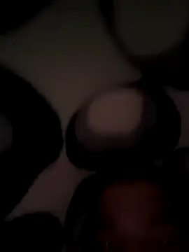 faaseel online show from March 2025 03:56:02 AM