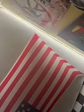 Snapshot of stev3w chatting on February 2025 06:13:02 AM stev3w online show from February 2025 06:13:02 AM