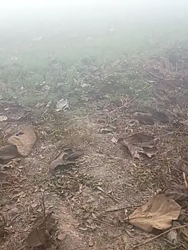 imissyoumylove14 online show from January 2026 01:32:02 AM