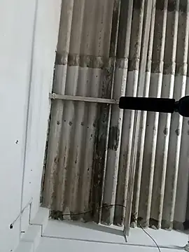 Snapshot of Sex-Nia chatting on December 2024 04:57:01 PM Sex-Nia online show from December 2024 04:57:01 PM