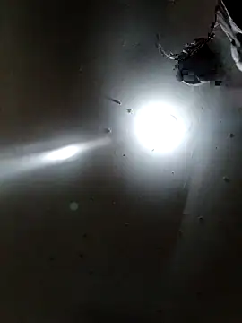 Innsaciable online show from April 2026 11:31:02 PM