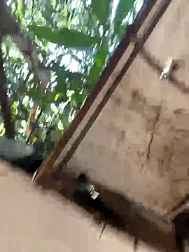 Morguisssz online show from December 2025 06:36:01 PM