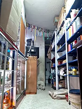 nidia2026 online show from March 2025 06:32:01 PM