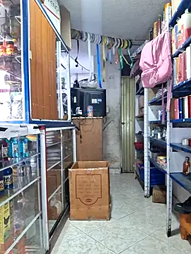 nidia2026 online show from February 2026 01:08:02 PM