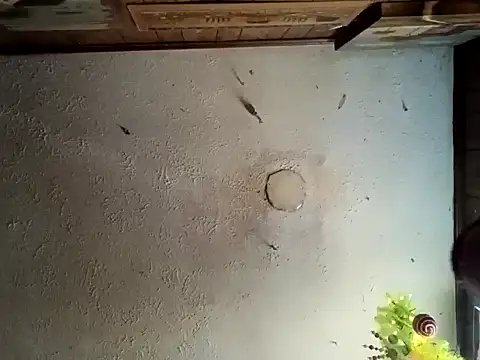 Snapshot of realoneNocap chatting on November 2025 05:57:01 PM realoneNocap online show from November 2025 05:57:01 PM