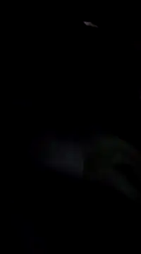 Eva Florence online show from February 2025 04:22:01 PM