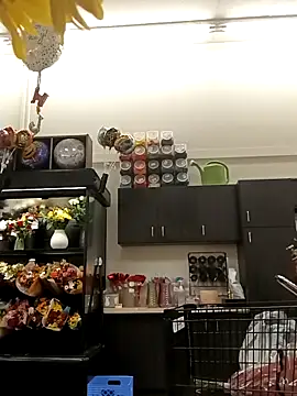 Snapshot of kobrashekyng chatting on October 2025 02:39:01 PM kobrashekyng online show from October 2025 02:39:01 PM