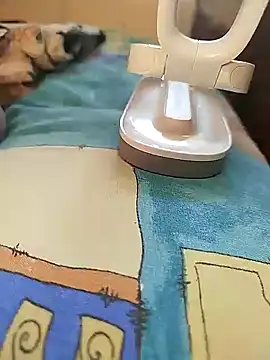 Snapshot of sanek1995sexx chatting on January 2025 12:24:02 PM sanek1995sexx online show from January 2025 12:24:02 PM