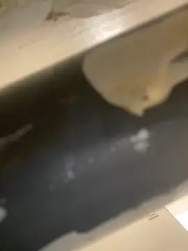 Mme Milahotspicy online show from October 2025 07:03:02 PM