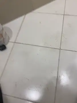 Lahcene online show from February 2026 05:38:01 PM