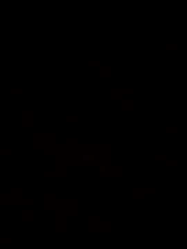 Snapshot of Feli230990 chatting on October 2025 07:50:01 AM Feli230990 online show from October 2025 07:50:01 AM