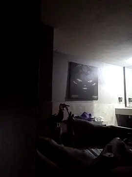 Snapshot of SiperoXxX chatting on November 2025 09:19:01 AM SiperoXxX online show from November 2025 09:19:01 AM