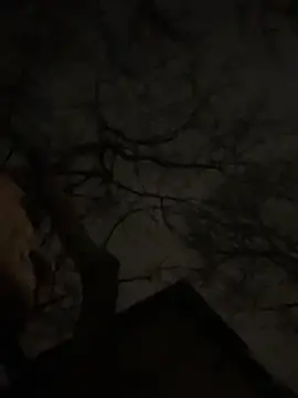 -yakimov- online show from January 2026 07:34:01 PM