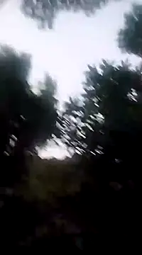 Danna-linyi online show from December 2024 11:37:01 PM