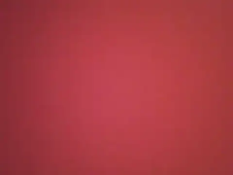 Snapshot of _revianzip1 chatting on December 2024 08:07:01 PM  revianzip1 online show from December 2024 08:07:01 PM