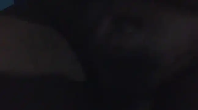 Penis58 online show from December 2024 11:39:02 PM