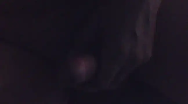 Penis58 online show from February 2025 01:05:01 PM