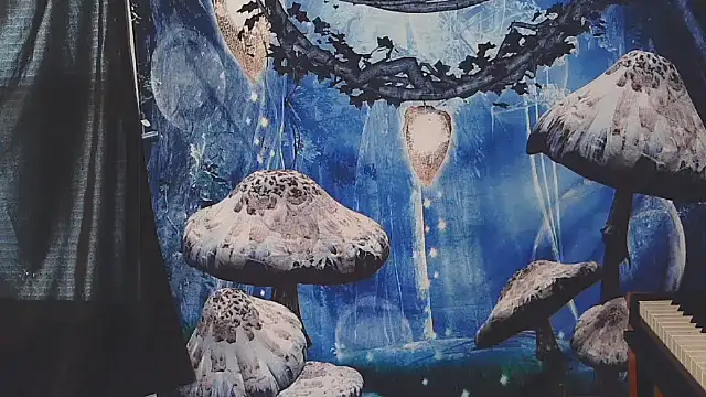  hellostormy  online show from February 2026 07:21:01 PM