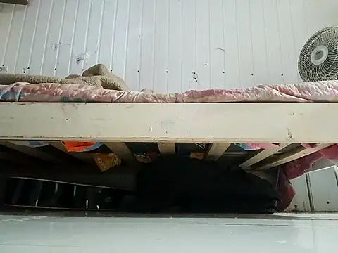 frotasso online show from February 2026 11:01:01 PM