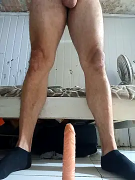 frotasso online show from March 2026 04:06:01 AM