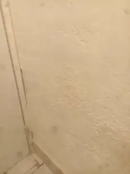 FlacoRiaton online show from February 2026 08:07:02 AM