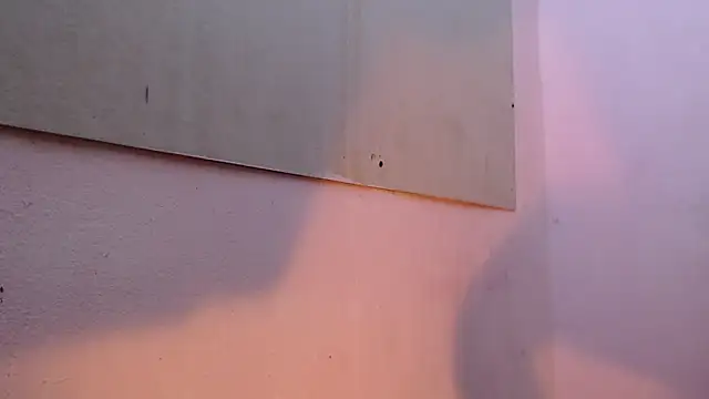 mr stiven  online show from March 2025 02:16:01 AM