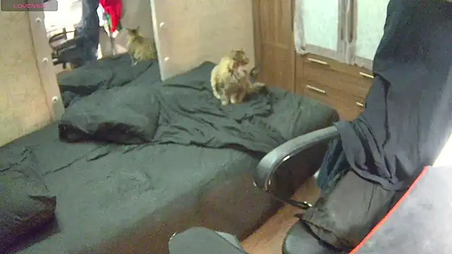 Snapshot of Julia_dolls chatting on December 2024 07:03:02 PM Julia dolls online show from December 2024 07:03:02 PM