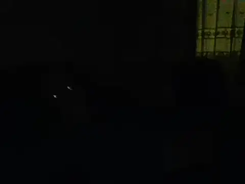 farock online show from January 2025 05:52:01 AM