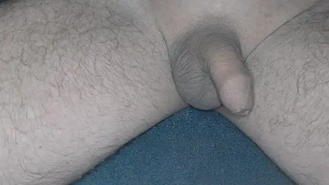 Snapshot of cs1512 chatting on February 2025 04:36:02 AM cs1512 online show from February 2025 04:36:02 AM