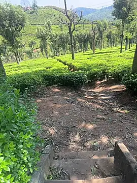 Hillz king 98 online show from February 2025 03:37:01 AM