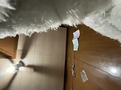 carmelbbyx22 online show from March 2026 12:38:02 PM