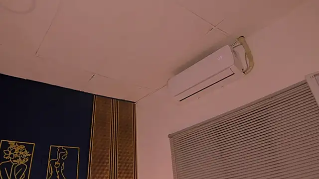 Snapshot of _dakota_a chatting on January 2025 12:46:02 AM dakota a online show from January 2025 12:46:02 AM