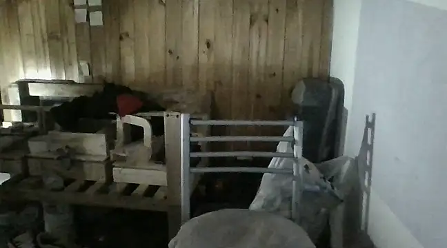 italianbighorse22 online show from January 2025 06:03:01 AM