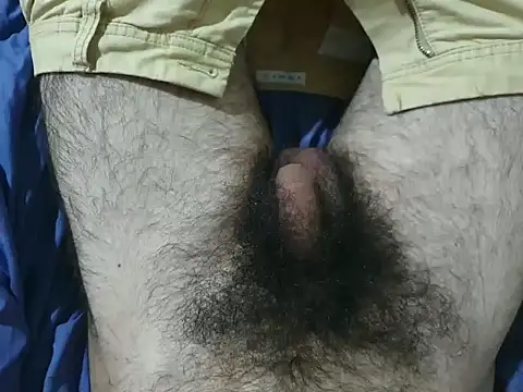 bomvemcam online show from November 2025 07:11:02 AM