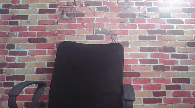 telugu indhu 0001 online show from December 2024 12:44:02 AM