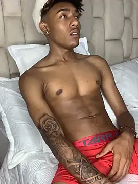 Snapshot of Boy_cock18 chatting on January 2025 02:14:01 AM Boy cock18 online show from January 2025 02:14:01 AM