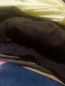 jarmesr7x online show from January 2025 02:42:02 AM