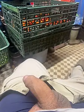 069kinchan online show from December 2025 10:24:01 AM