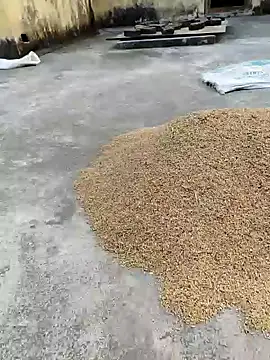 Snapshot of sweet_suman chatting on January 2025 11:21:02 AM sweet suman online show from January 2025 11:21:02 AM