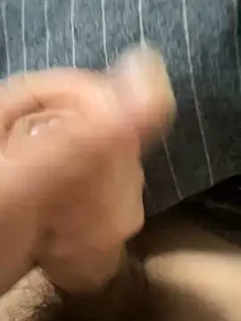 Snapshot of toto3119 chatting on February 2025 02:49:01 PM toto3119 online show from February 2025 02:49:01 PM