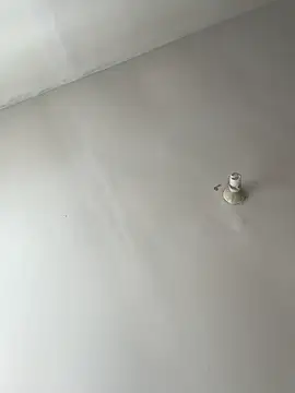 lunagonzales lima 2007 online show from February 2025 08:38:02 PM