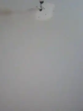 HueingChamber4352 online show from May 2026 06:51:02 AM